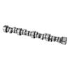 Camshaft Kit with Springs & Valve Seals 1999-2013 GM Gen3/4 Norris Trucks
