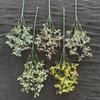 Head Artificial 150 Gypsophila Flowers For Wedding Bouquets And Decorations Home