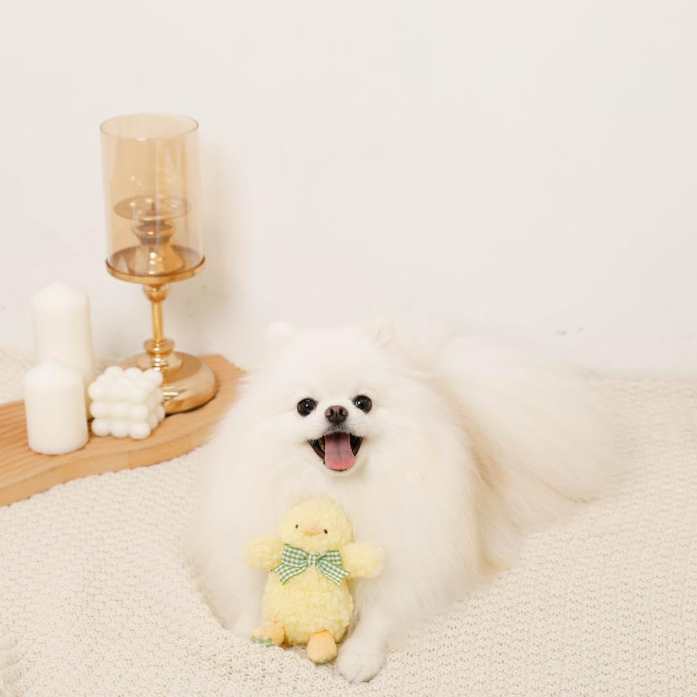 Gingham Check Ribbon Plush Squeak Toy for Small and Medium Dogs Popular Brand for Toy Poodles and Chihuahuas monchéri "Chick Toy" (FREE/Yellow) Cute,