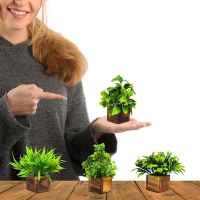 Plastic Potted Artificial Plant In Wooden Pot (4 Pack) Eucalyptus Plants Small Plants For Home Decor|Office Decor