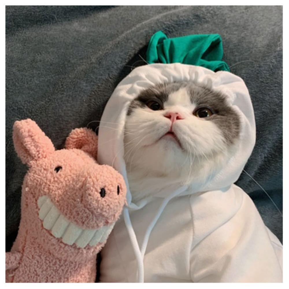 New cat pet clothes autumn and winter puppy dog teddy cat velvet hooded dog sweater supplies thickened and warm