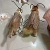 Cat Cosplay Dress Up Cockroach Costume Pet Breathable Clothing Funny Party Decor Outfit Uniform Pet Supplies