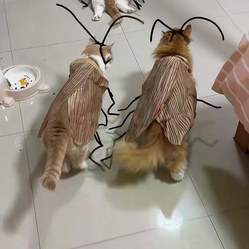 Cat Cosplay Dress Up Cockroach Costume Pet Breathable Clothing Funny Party Decor Outfit Uniform Pet Supplies