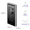 Sony Walkman NW-A306 32GB A300 Series MP3 Player Bluetooth Android Support Touch Panel 36 Hours Hi-Res Streaming LDAC aptX HD 360 Reality Audio Gray
