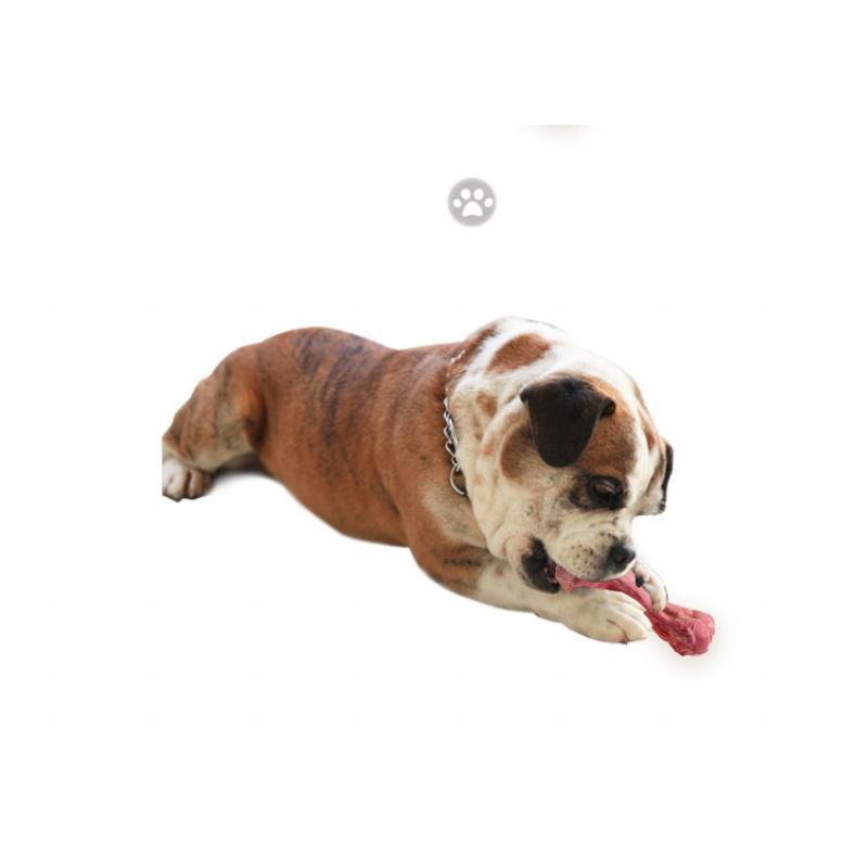 Durable Natural Rubber Dog Chew Toy Indestructible for Aggressive Chewers Bone Shape with Teeth Cleaning Dog Chew Toy
