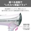 Tescom Hair Dryer, Negative Ion, Foldable, High Airflow, Easy-to-Remove Plug, Prism White, TID1100B-W