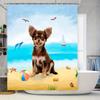 Duschvorhang mit Strandmotiv: Entzückender Chihuahua-Druck in Mehrfarben Perfekt für Badezimmer-Dekoration Einfache Installation Schnell trocknend Fabri