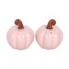Pumpkin Salt and Pepper Shakers (Pack of 2)