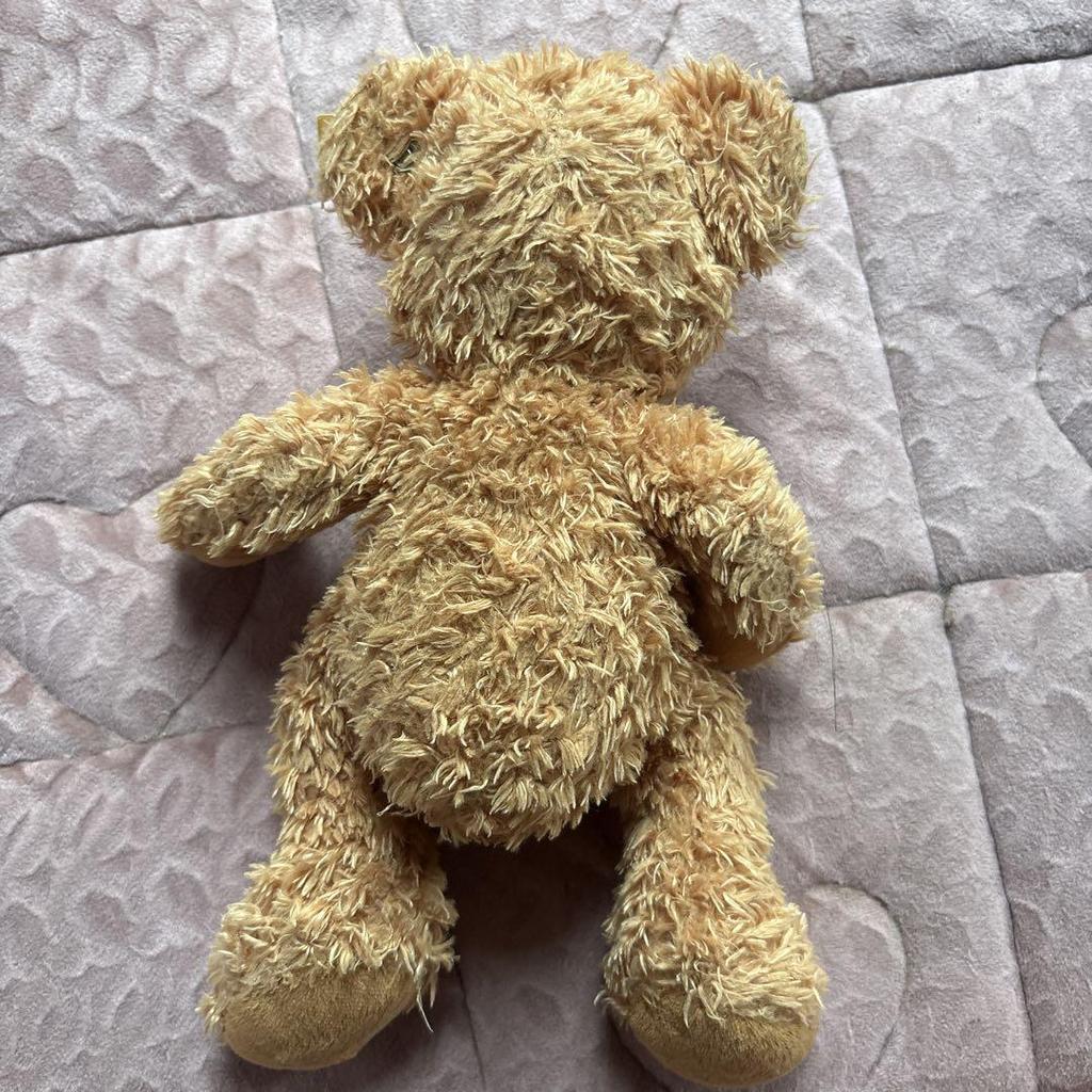 [USED] Steiff Teddy Bear Finn Gold