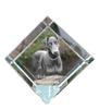 Dobermann, Doberman Pinscher, Dobie I – Crystal Cube with a Photo, Photo of a Horse In Crystal |