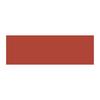 Asahipen Strong Rust Spray 300ml Red Rust Paint Oil-based Matte