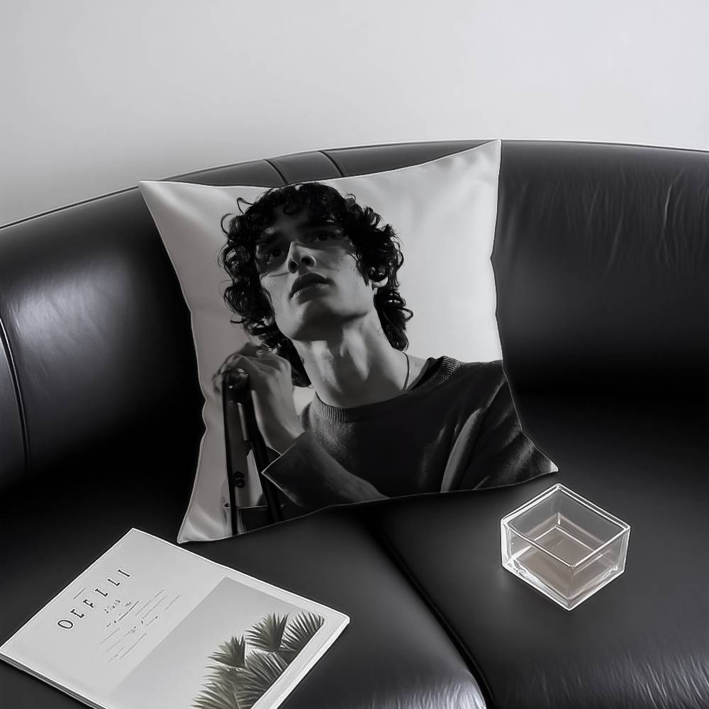 Singer S-som-brs Pillow Case Anti-dustmite Invisible zipper Sofa Bed