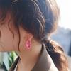 2025 High-End Sweet and Cool Style Earrings: Versatile Light Luxury Ear Jewelry for Women