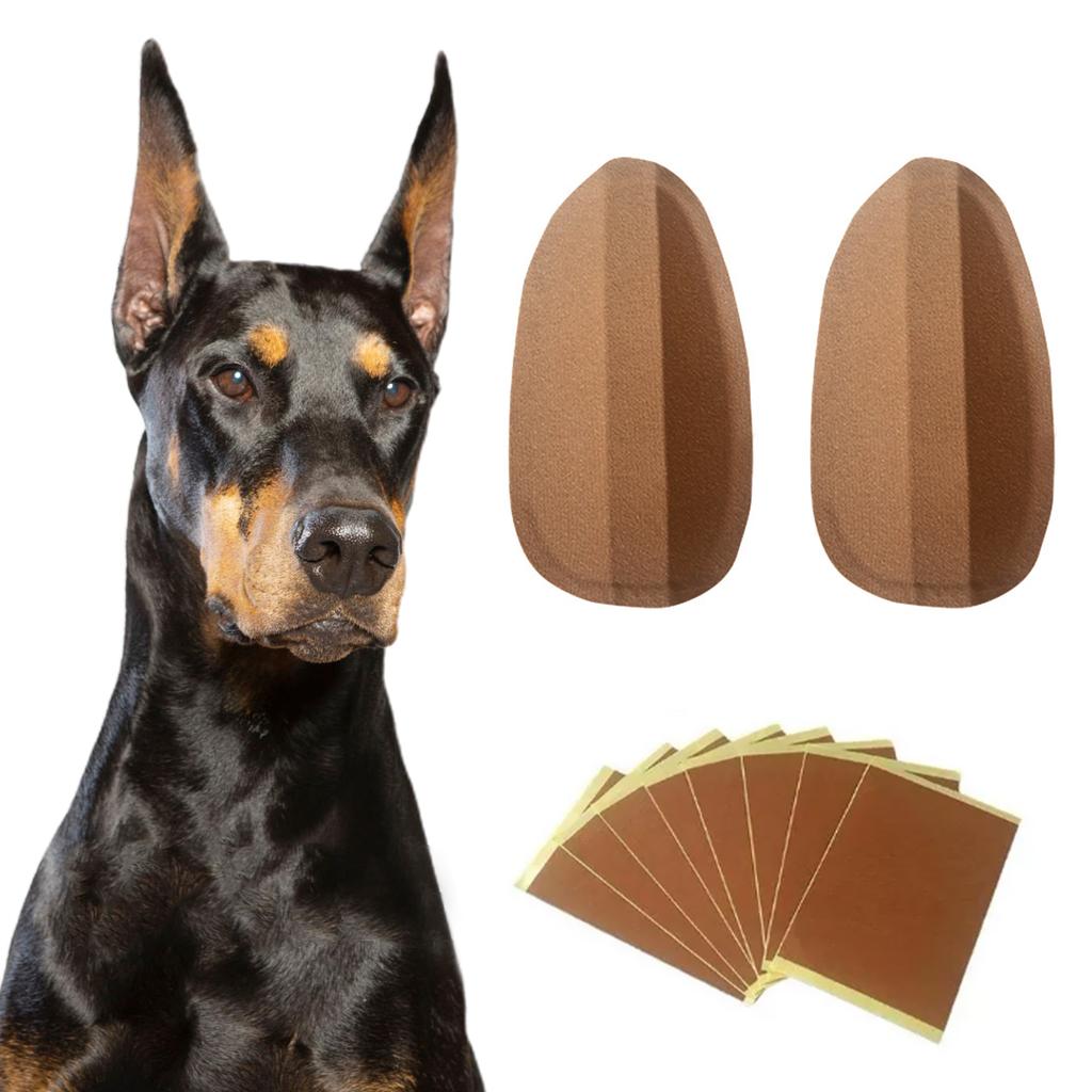 1 Pair Dog Ear Support Patch Dog Ears Stand Sticker Ear Fixed Correction Vertical Holder