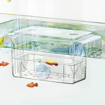 [Huisdier] Adsorptie Broedbakje Voor Aquarium