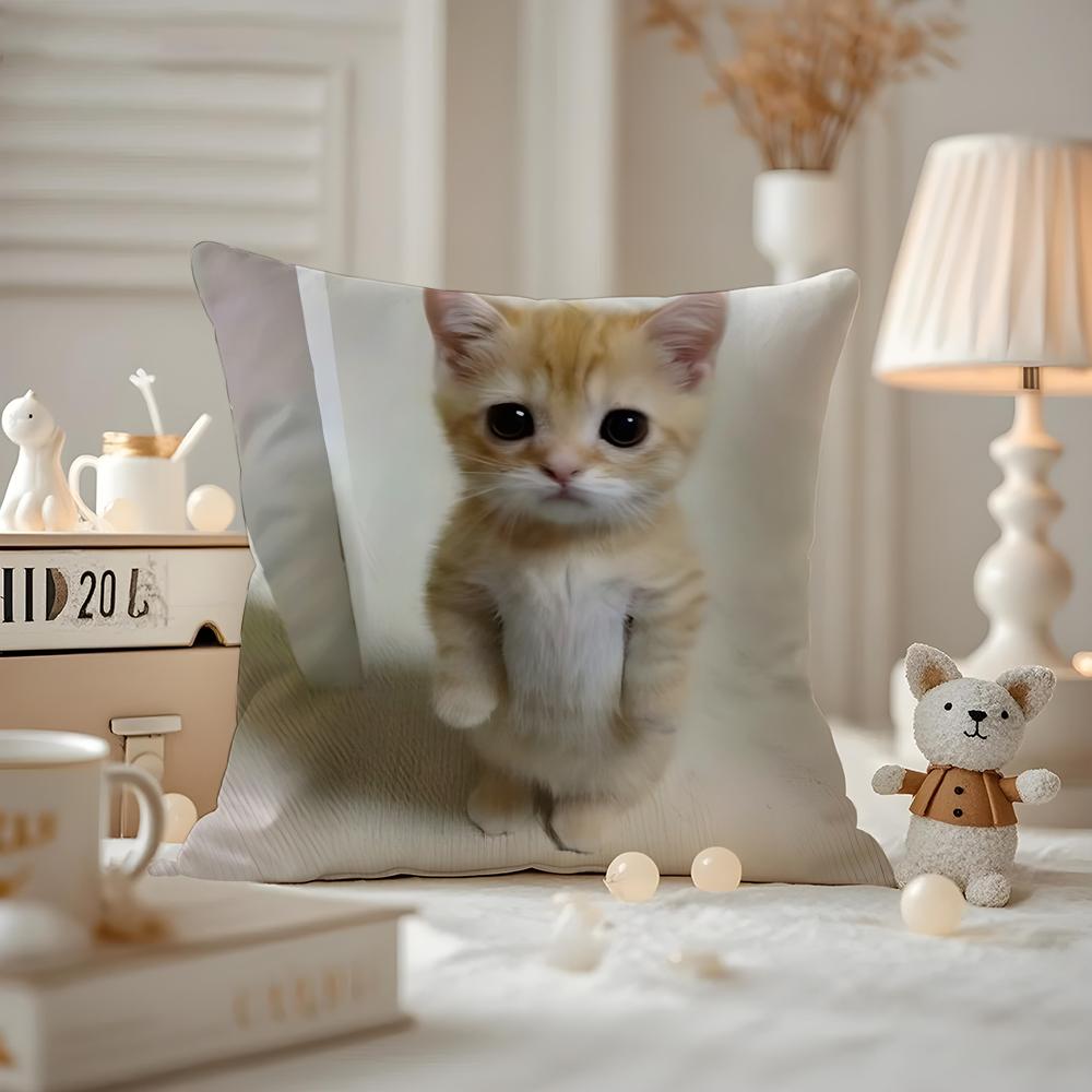 Art cat Cushion Cover Antidustmite Pillowcase Invisible zipper silky short plush Sofa cushion cover