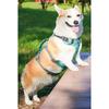 With Handle Reflective Pet Harness Adjustable Design Nylon Pet Vest Dog Harness  Schnauzer Corgi