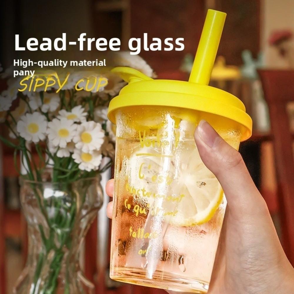 Large Water Milk Bottle Cup with Straw Coffee Cup Portable Glass Water Cup  For Sports Camping
