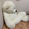 [USED] Polar Bear Teddy Bear Extra Large Stuffed Animal