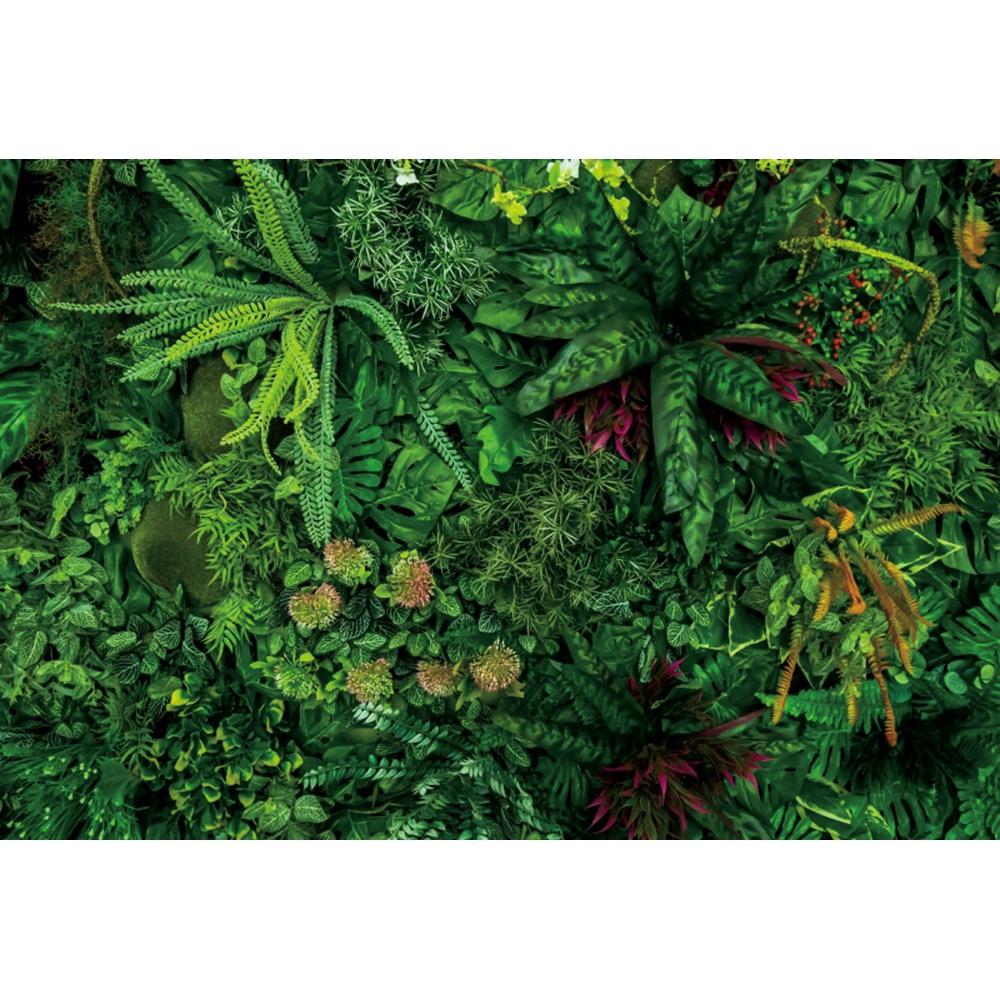 Spring Forest Backdrop Tropical Jungle Rainforest Backdrops for Photography Camping Adventure Birthday Background Photo Studio