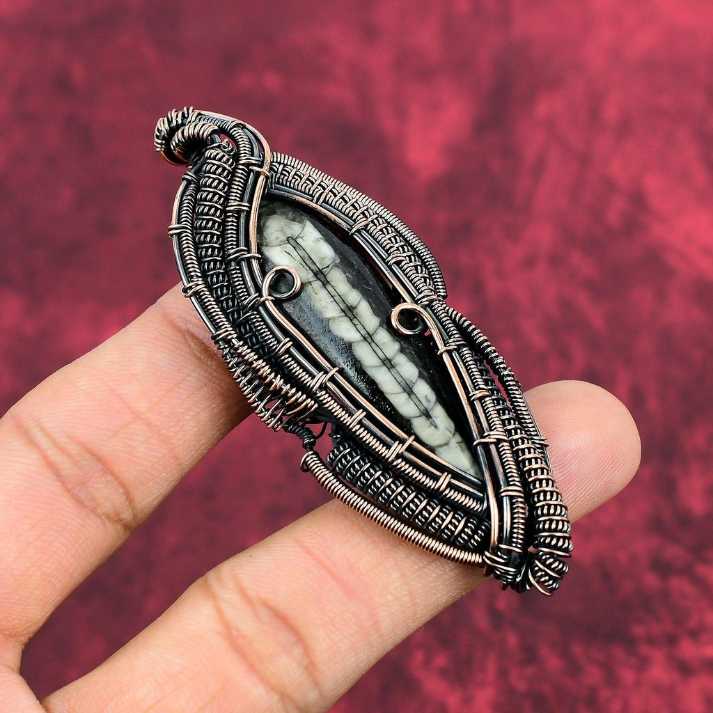 Orthoceras Fossil Pendant Copper Wire Wrapped Gemstone Pendant Wonderful Copper Jewelry Handmade Pendant Gifts For Wife Wire Wrapped Jewelry