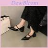 French Vintage Mary Jane Shoes For Women With Pointed Toe And Chunky Heel For Daily Wear