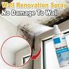Mould Spray 100ml for Wall and Bathroom Surface Treatment Effective Daily Care and Maintenance Solution Suitable for Various Indoor Surfaces