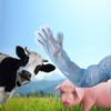 50Pcs Plastic Disposable Vet Glove Clear Farm Glove Non-toxic Cattle Sheep Glove  Midwifery