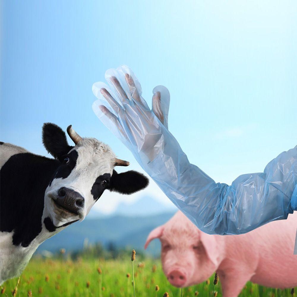 50Pcs Plastic Disposable Vet Glove Clear Farm Glove Non-toxic Cattle Sheep Glove  Midwifery