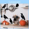Modern Minimalist Black Crow Glass Window Wall Sticker For Halloween Living Room Decor