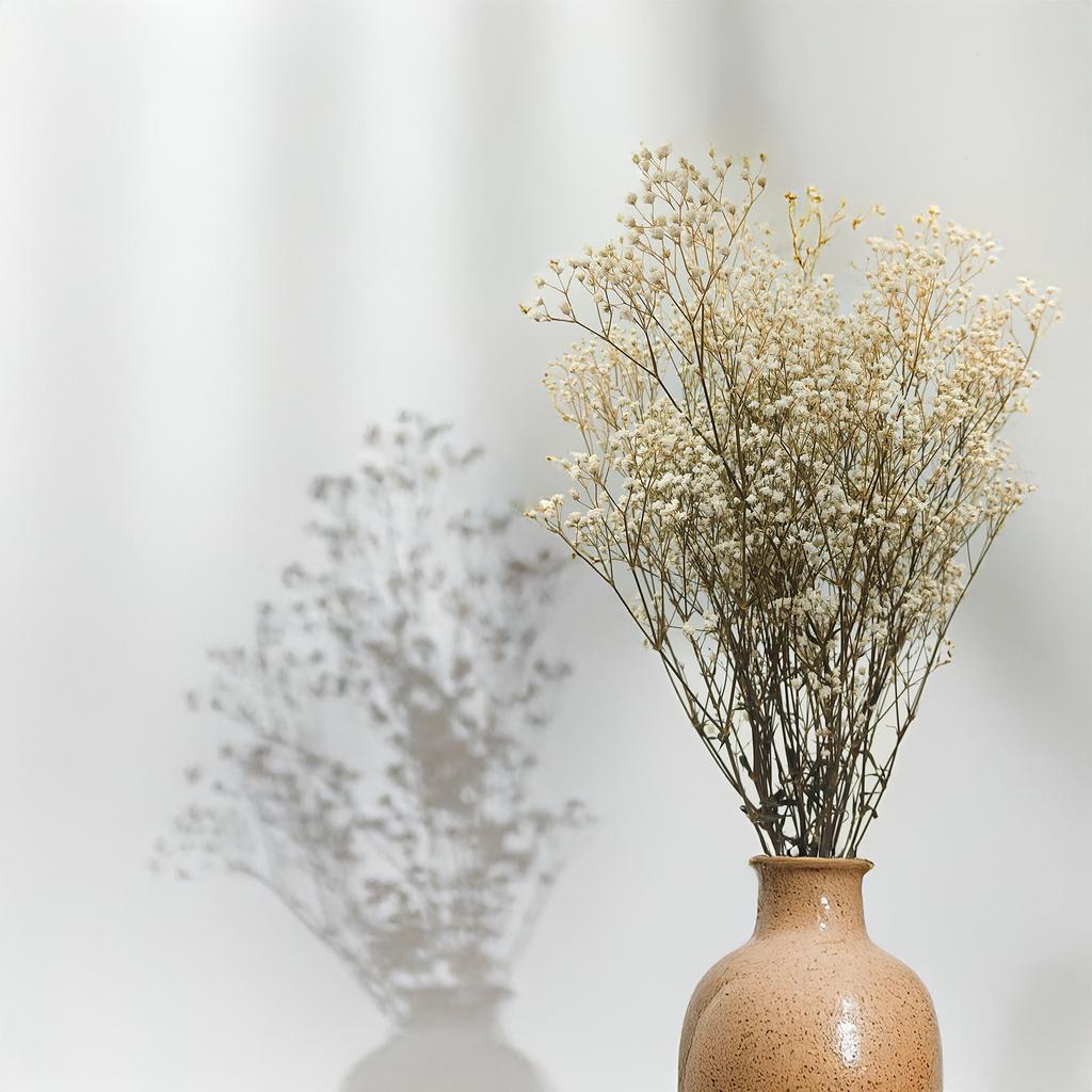 Gipsówka Stabilizowana - (Gypsophila) - Naturalna Biała