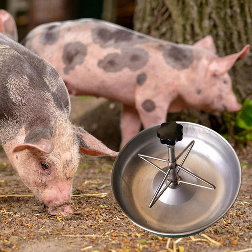 Comedero for Piglets, Pig Feeder, Stainless Steel Cattle, Pets, Small Animals, Fodder Slot, Close