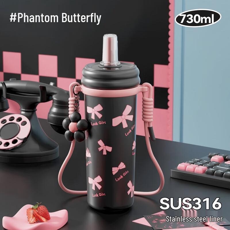 SW316 Premium Insulated Stainless Steel Straw Bottle