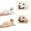 Kids Animal Figurine Gold Retriever Pvc Collectible Toy For Home Or School Decor