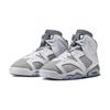 Air Jordan 6 Retro GS Cool Grey Dětské tenisky Bílá Středně šedá 384665-100