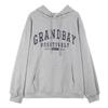 Spring Student Printing Loose Warm Fleece Thickened Hooded Sweater Wholesale for Women