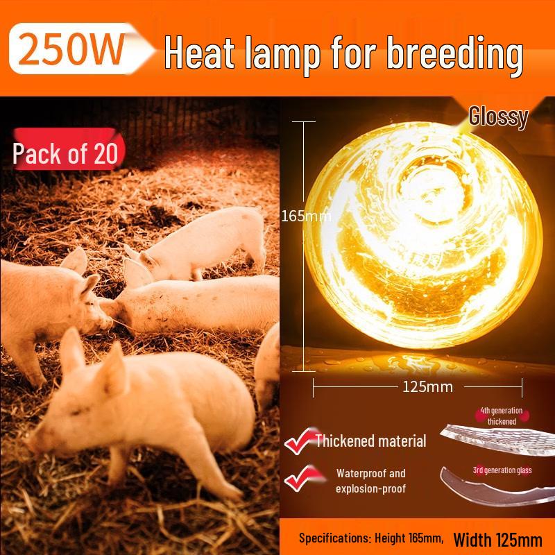250W Copper Base Infrared Heat Lamp for Livestock