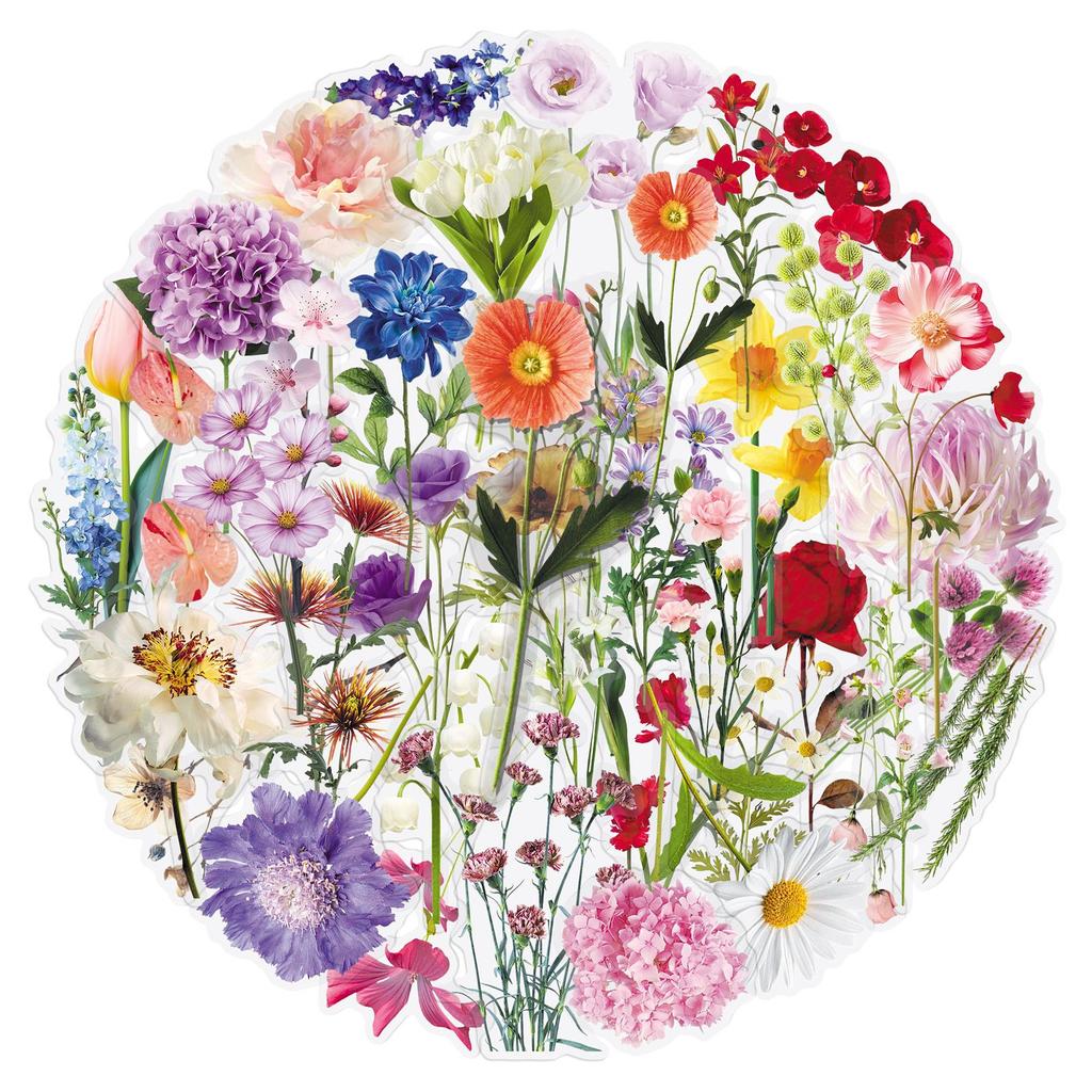 50pcs/1 lot Flower Material PET Transparent Stickers Realistic INS Style Cute Girl's Hand Account Material Storage Box Gocco