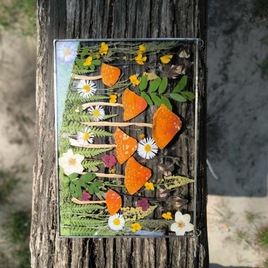 Wildblumenpilz Herbarium Hängende Dekoration Indoor Outdoor Garten Fenster Wandbehang Pilz gepresste Blume Kunst Ornament