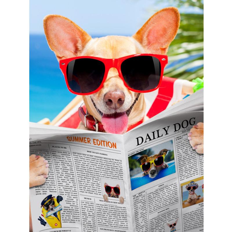 5D-Diamantmalerei zum Selbermachen, fröhlicher cooler Strandhund, Diamantstickerei, Kreuzstich-Set, voller Strass, Mosaik, Heimdekoration