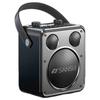 SANSUI D71 Portable KTV Bluetooth Speaker CN Plug (adapter Included)