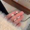 Design Pearl Earrings Female Gentle Atmosphere Spring and Autumn Earrings Fashion Hundred with A Sense of Senior Sense Earrings