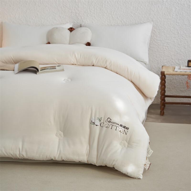 Qixiai Gewaschene Baumwolle aus Xinjiang Ganzjahresdecke