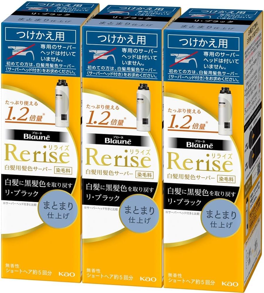 

Rerise of Hair Color Server for Gray Hair Cohesive Finish Replacement 190g x 3 pieces [Set 3] Re-Black (Natural Black)
