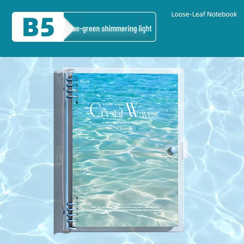 Detachable Transparent Leather Binder with 5 Notebooks for High School Students - 2026 Edition