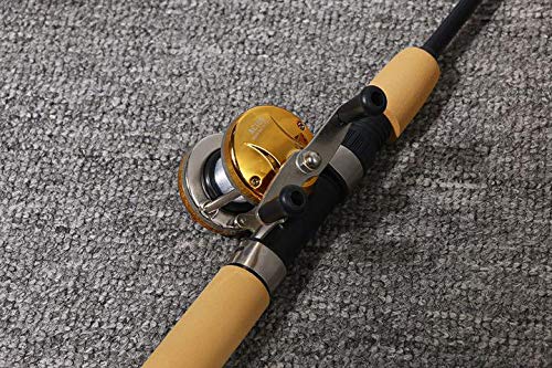 VILTAGE Ice Fishing Rod Set, Compact Rod, Double-Axis Reel, 100cm, for Ice Fishing, Brakuri, Saltwater, with Rod Case (Gold)