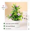 Multicolor Morning Glory Artificial Potted Plants Plastic Photo Props Simulation Flowerpotted Natural Elegant Faux Bonsai