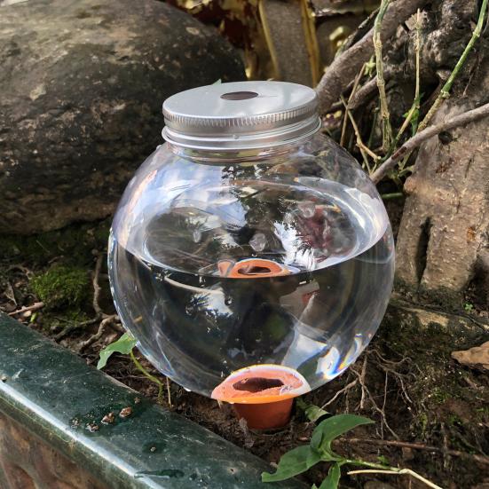 1/2/3 Stück Automatisches Wassersickergerät Selbstbewässernder Pflanzgefäßeinsatz mit Rundkugeldesign Bodenfeuchtigkeitsregler Transparenter Pflanzenbewässerer