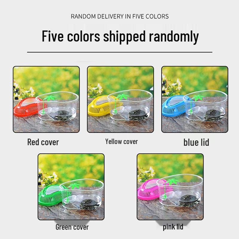 Portable Plastic Turtle Terrarium with Basking Platform