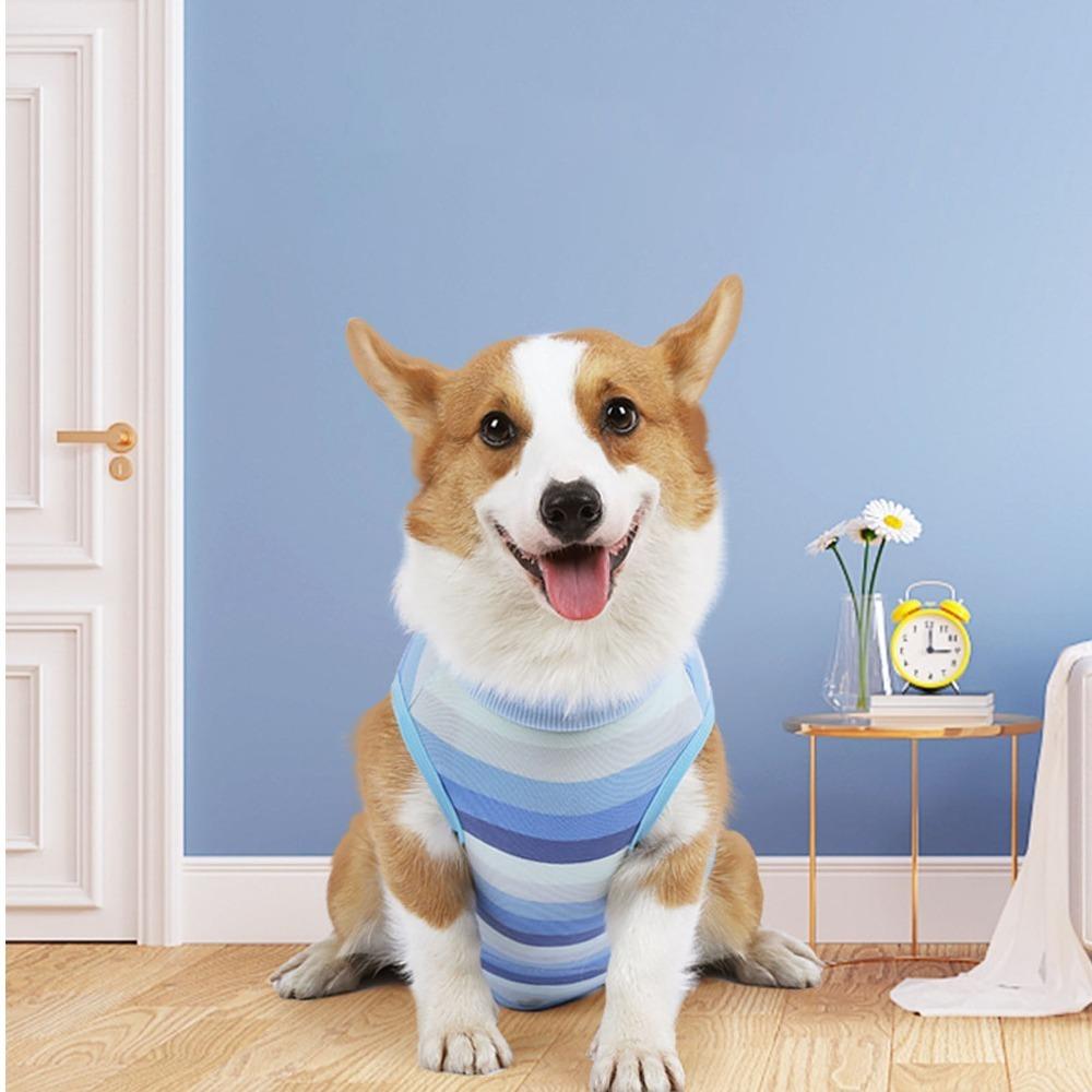Blue Striped Pet Surgery Clothes Snap Buttons Small Dog Post-op Wear  Pet Injury Care